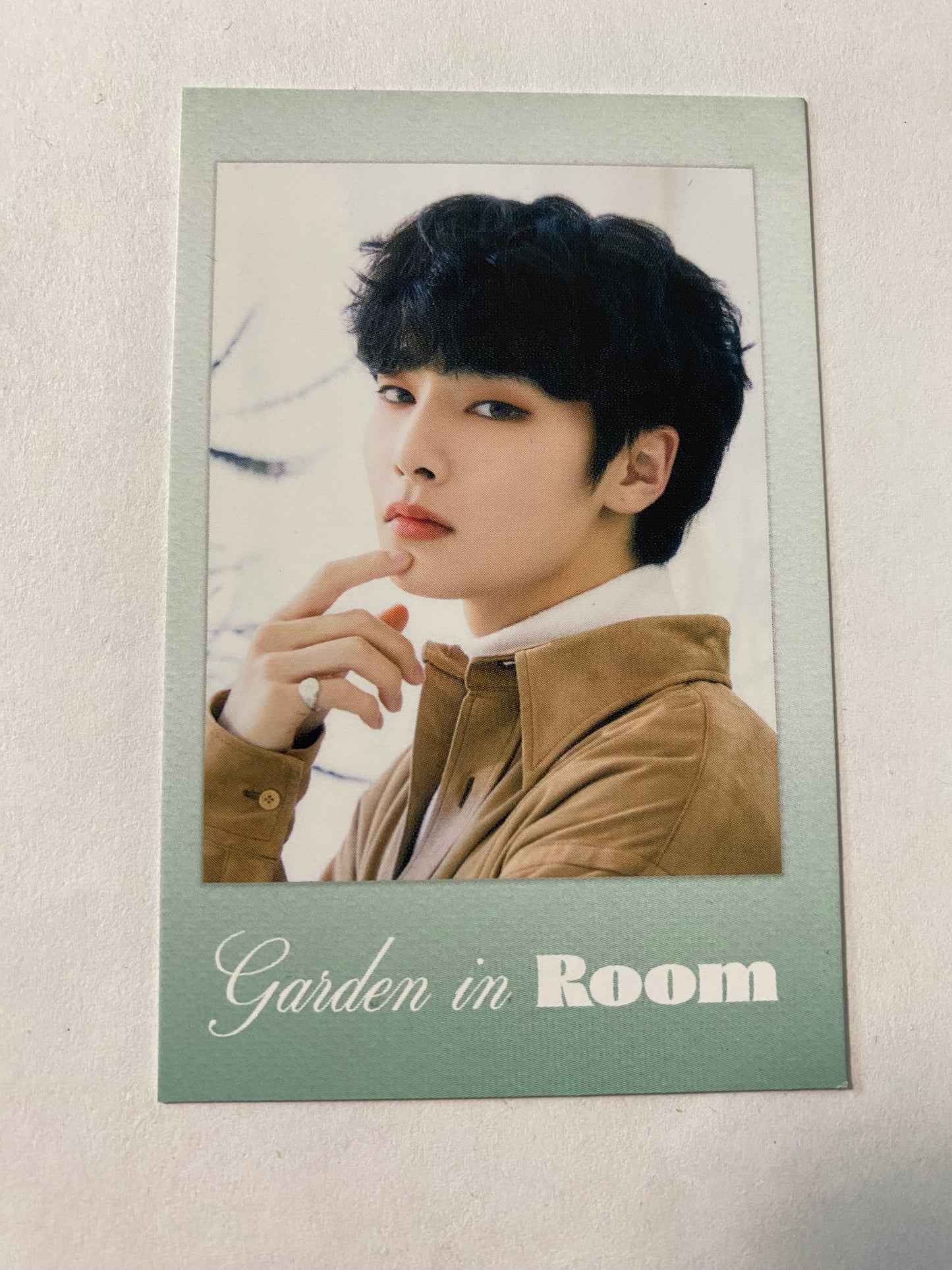 Stray Kids I.N Season's Greetings 2022 'Garden in Room' Polaroid