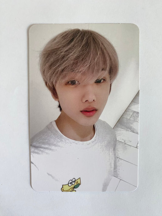 Jisung Hot Sauce ver. Cafe 7 Dream