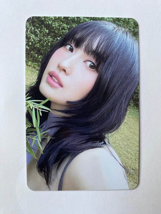 Twice Momo With Youth ver. Forever