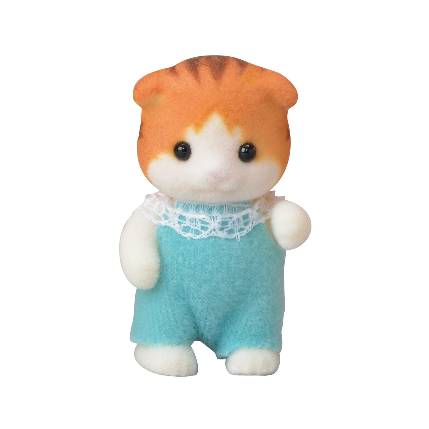 Maple Cat Kinder